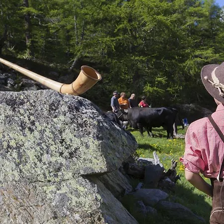 Garni Domino Pensionat 3*