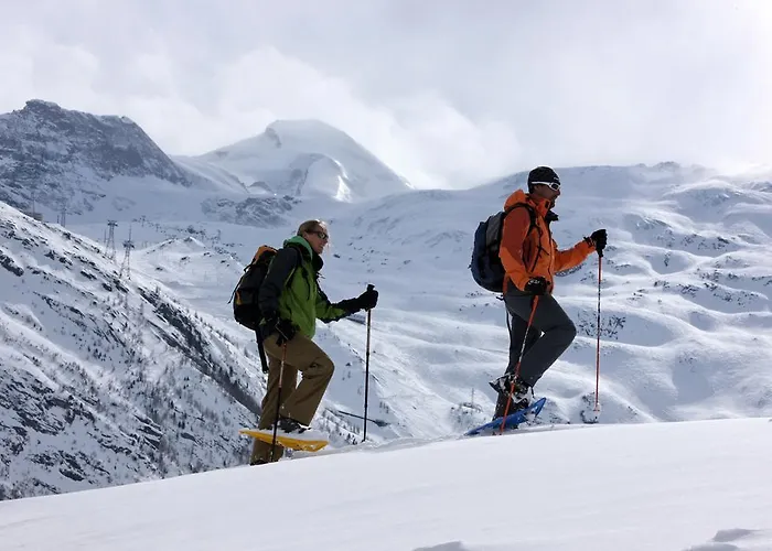 Πανσιόν Garni Domino