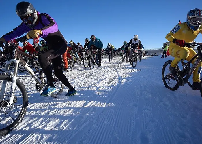 Garni Domino Πανσιόν