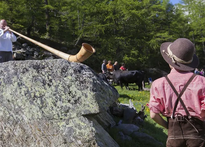 Garni Domino Πανσιόν 3*