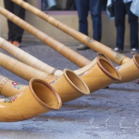 Garni Domino Saas Fee